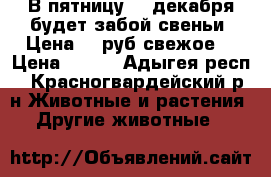В пятницу 29 декабря будет забой свеньи. Цена 450руб.свежое. › Цена ­ 450 - Адыгея респ., Красногвардейский р-н Животные и растения » Другие животные   